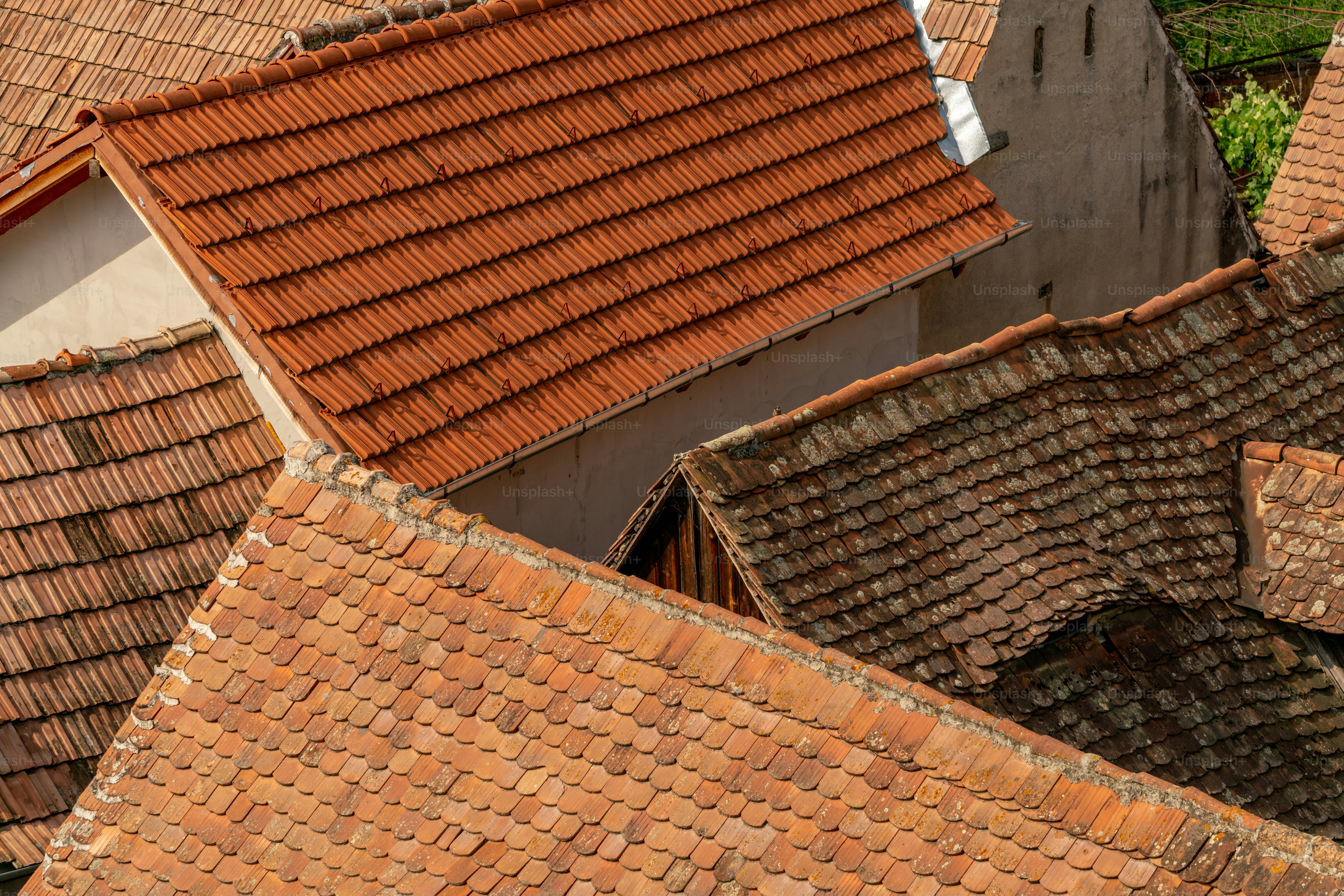 a bird is perched on the roof of a building